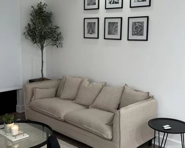 Furniture and Then Some