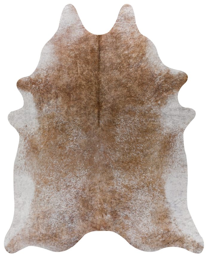MT5 Rug