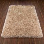 100 Rug
