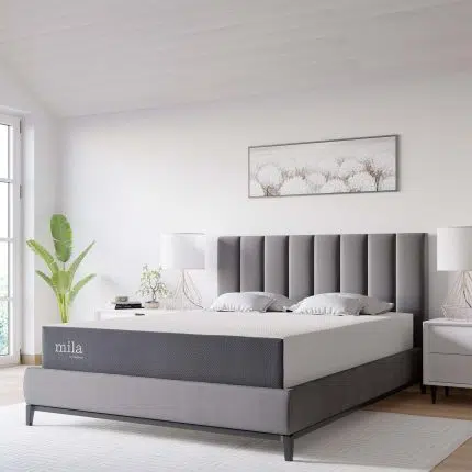 Memory Foam Mattress