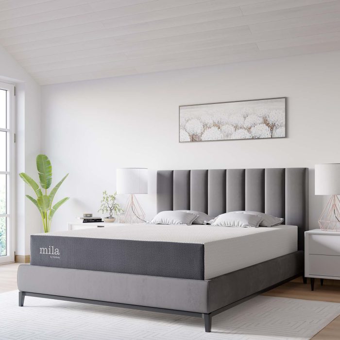 Memory Foam Mattress