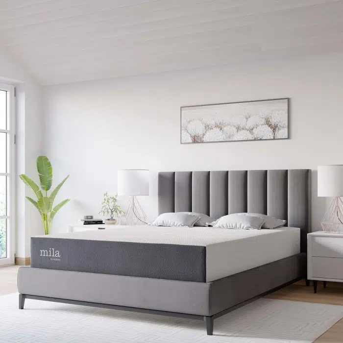 Memory Foam Mattress