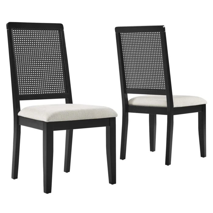 Arlo Faux Rattan and Wood Dining Side Chairs - Set of 2 - Image 3