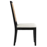 Arlo Faux Rattan and Wood Dining Side Chairs - Set of 2 - Image 19