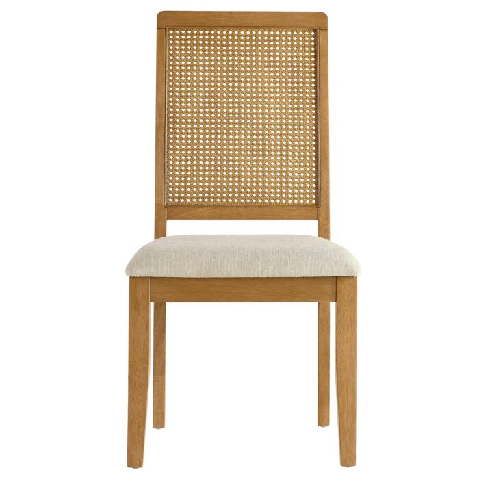 Arlo Faux Rattan and Wood Dining Side Chairs - Set of 2 - Image 23