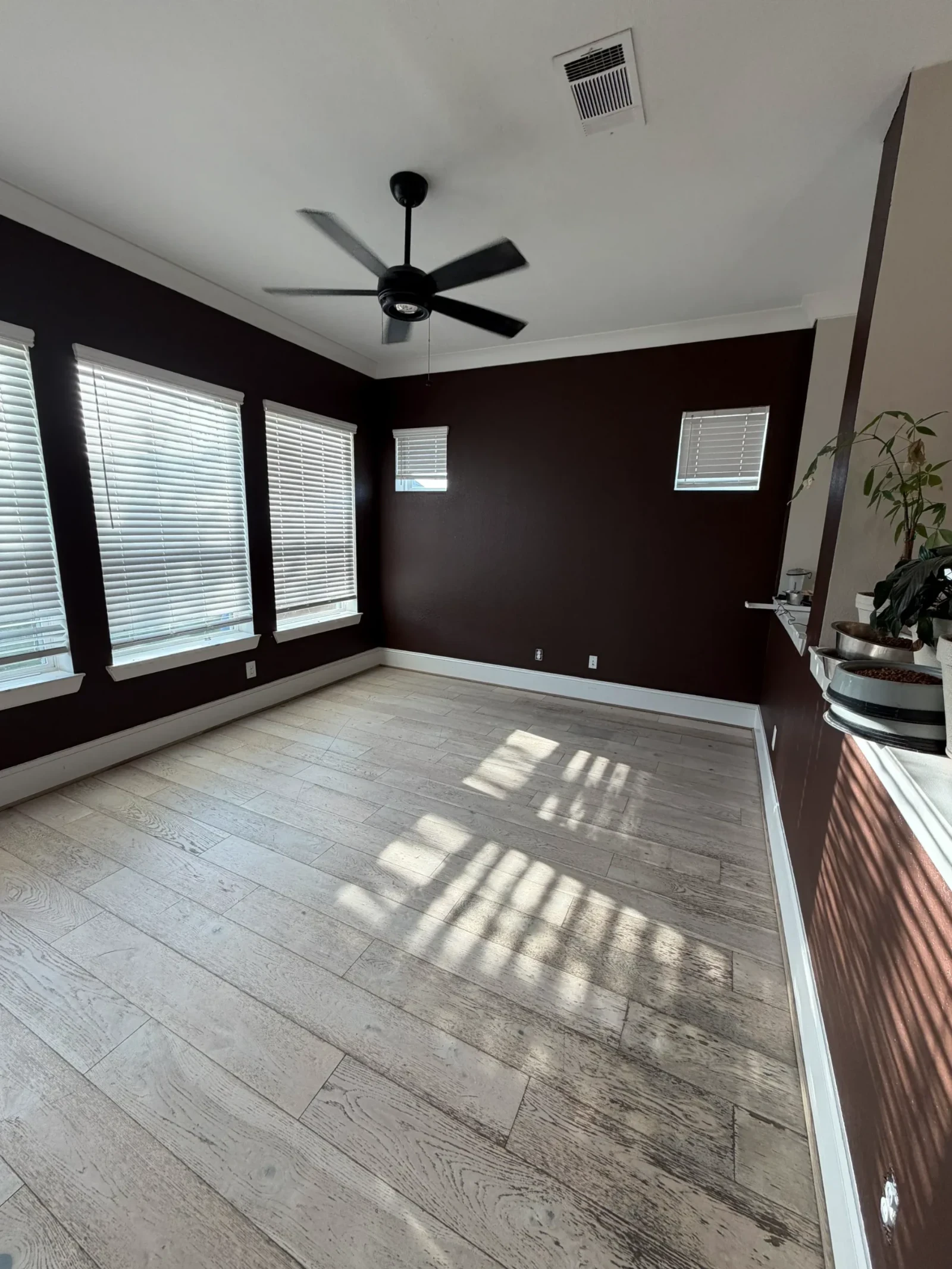 Venetian plaster interior finishes hallway Houston
